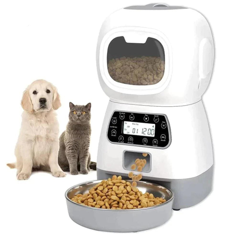 Alimentador Automático para Cães e Gatos - seacheaqui