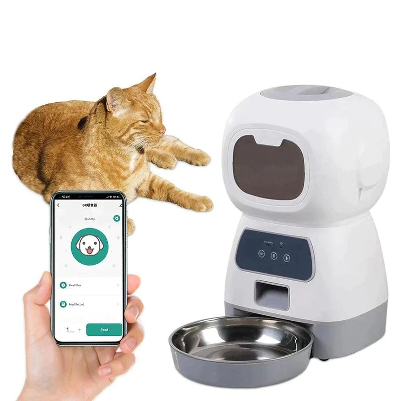 Alimentador Automático para Cães e Gatos - seacheaqui